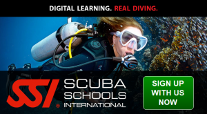 Sign Up With In 2 Diving Today
